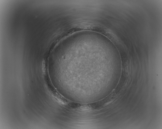 X0000068750696200605051540