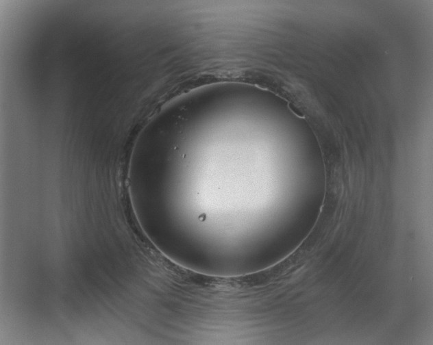 X0000068750697200605051540