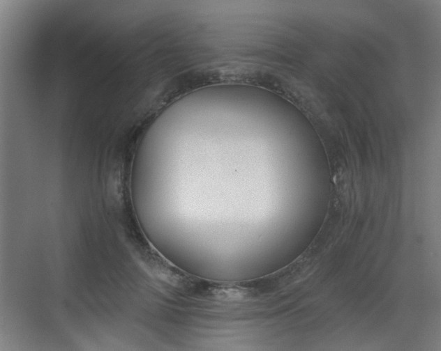 X0000068750698200605051540