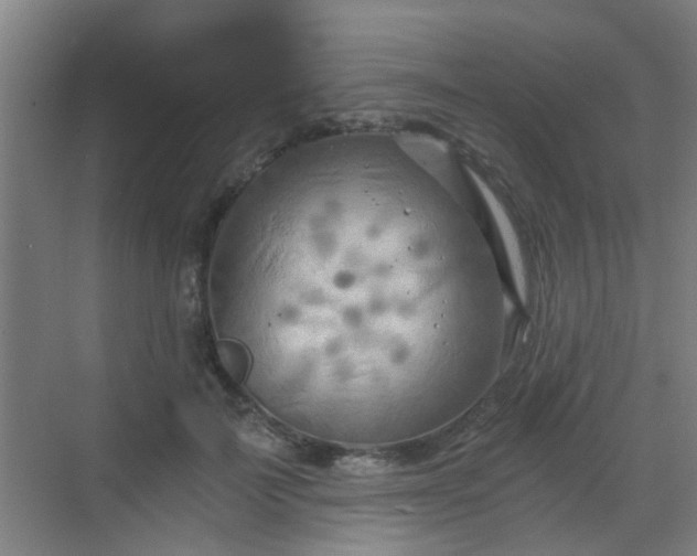 X0000068750699200605051540