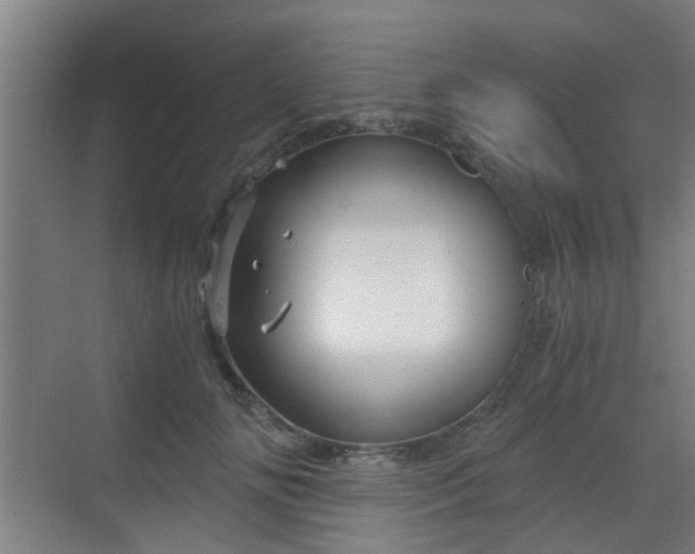 X0000068750702200605051540