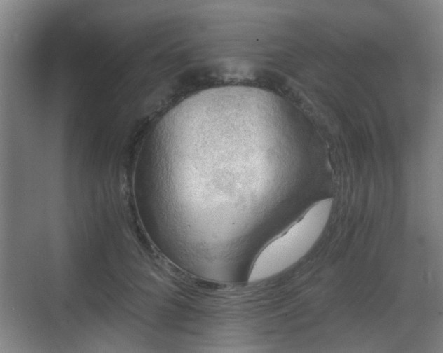 X0000068750704200605051540