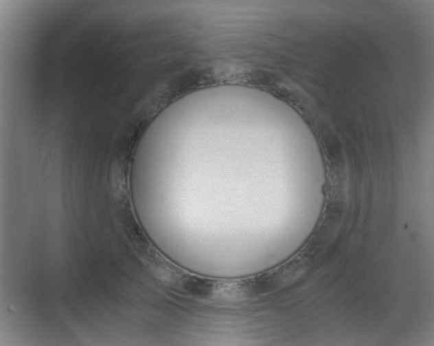 X0000068750705200605051540