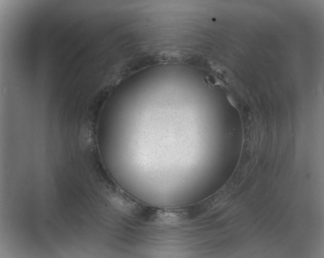 X0000068750706200605051540