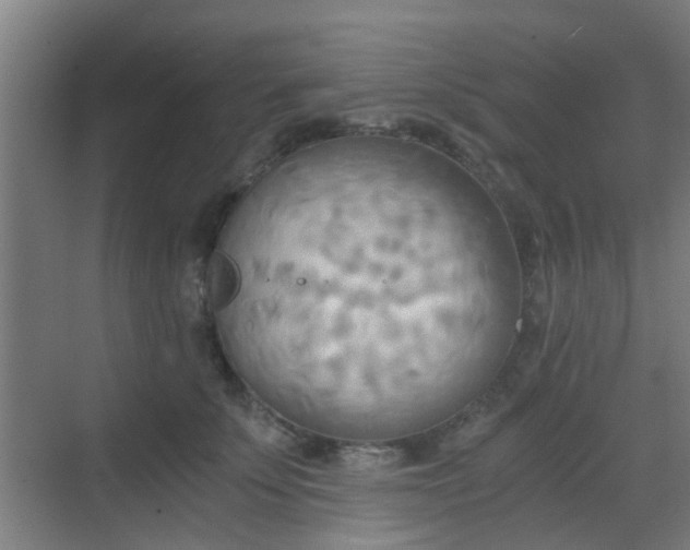 X0000068750707200605051540