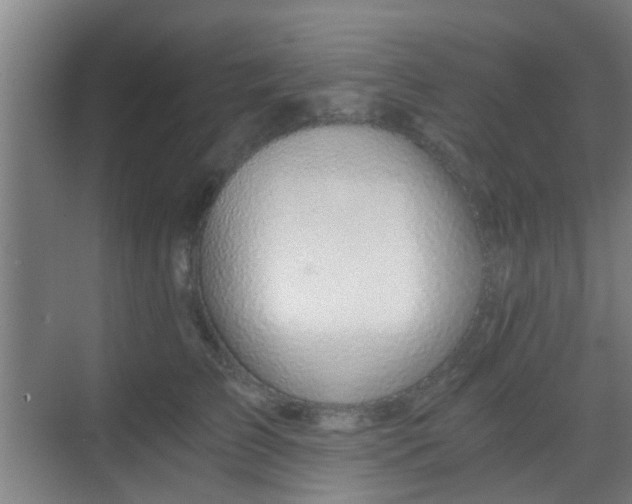 X0000068750709200605051540