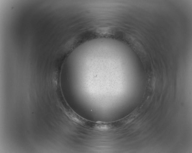 X0000068750710200605051540