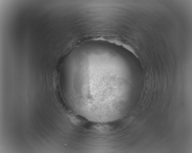 X0000068750712200605051540