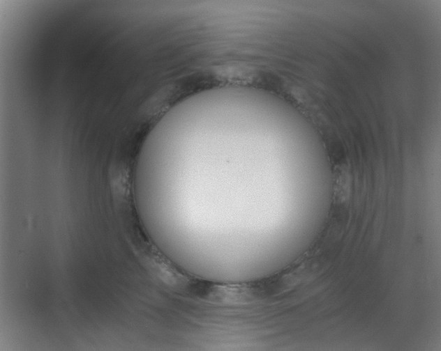 X0000068750713200605051540