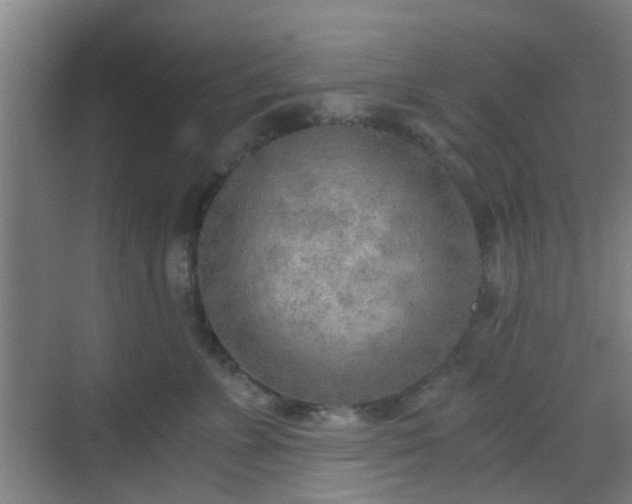 X0000068750715200605051540