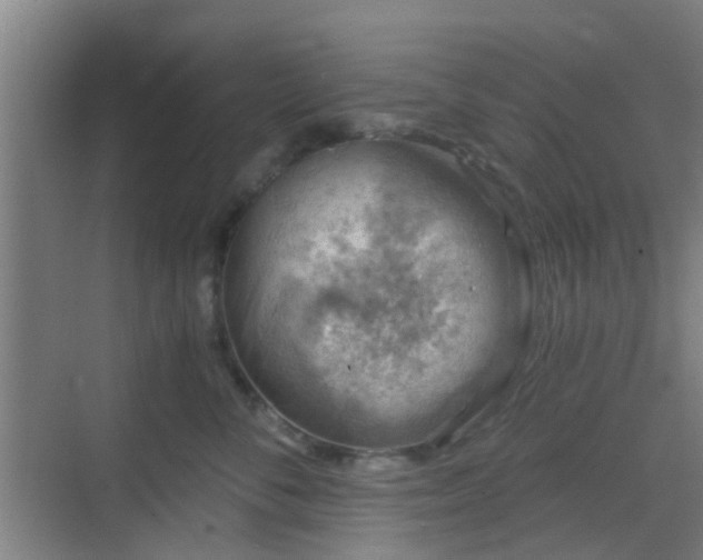 X0000068750716200605051540