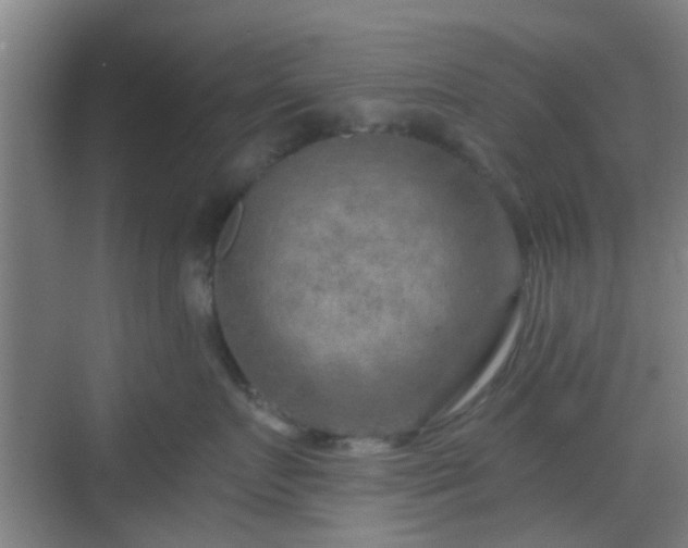 X0000068750719200605051540