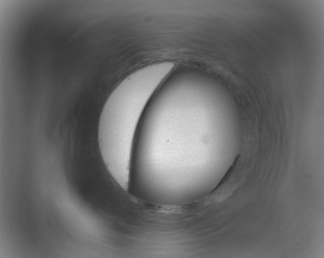 X0000068750720200605051540