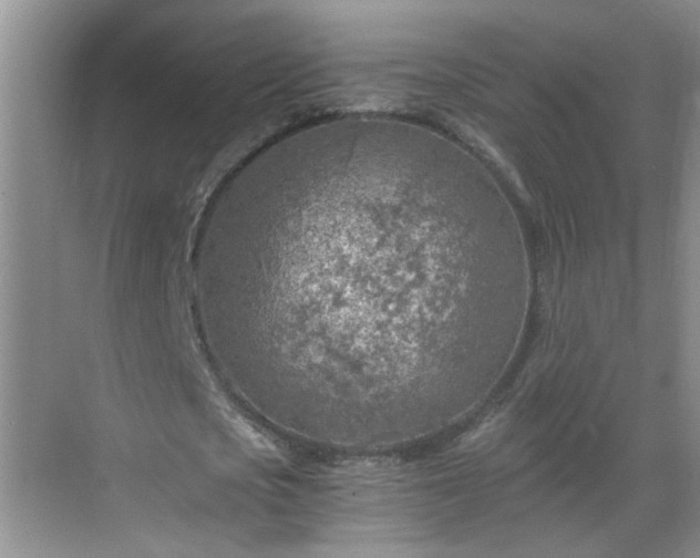 X0000068750721200605051539