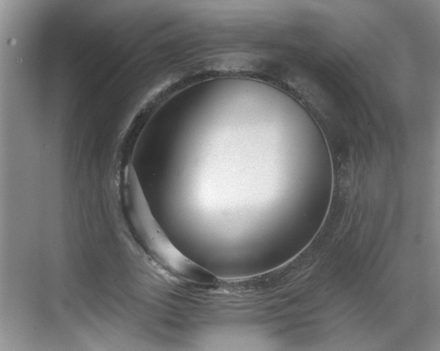 X0000068750727200605051539