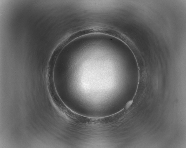 X0000068750730200605051539