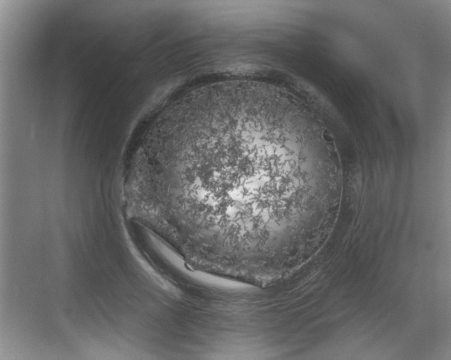 X0000068750734200605051539