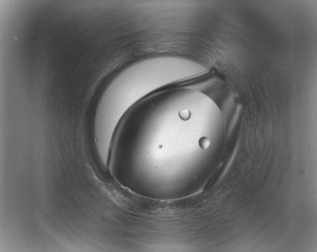 X0000068750735200605051539