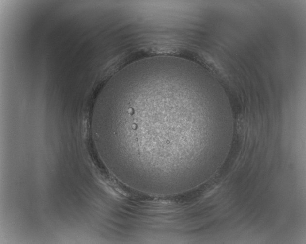 X0000068750741200605051539