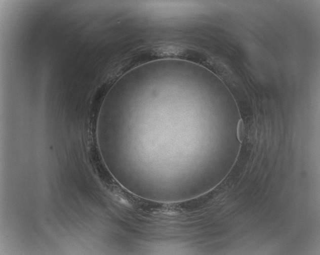 X0000068750743200605051539