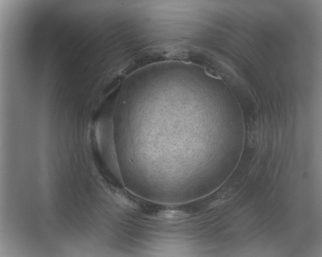 X0000068750748200605051539