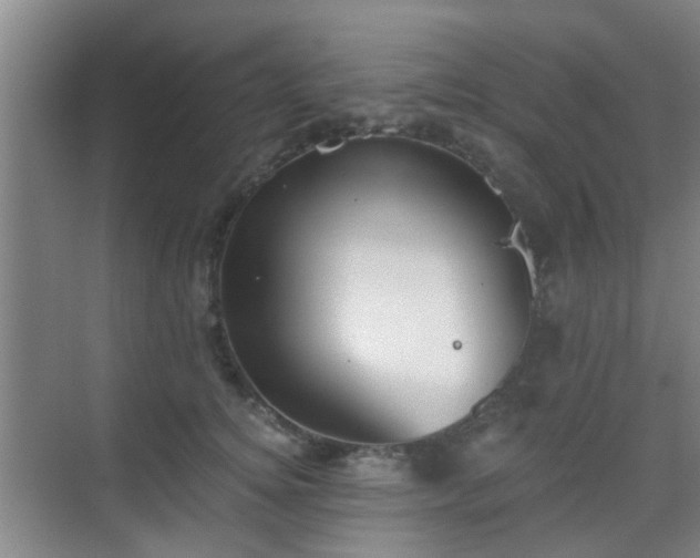 X0000068750756200605051540