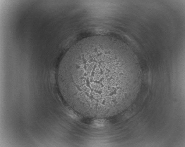 X0000068750757200605051540