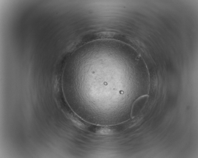 X0000068750759200605051540