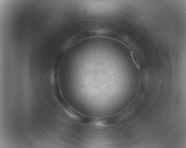 X0000068750760200605051540