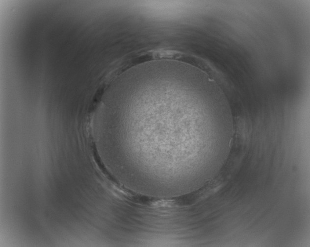 X0000068750761200605051540