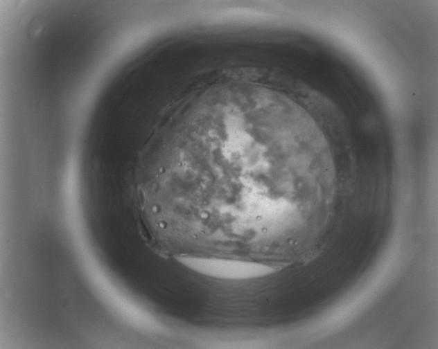 X0000068750765200605051540