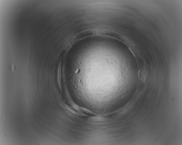 X0000068750766200605051540