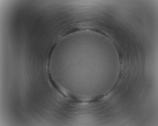 X0000068750767200605051540