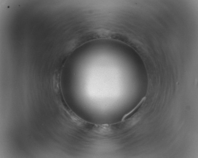 X0000068750768200605051540