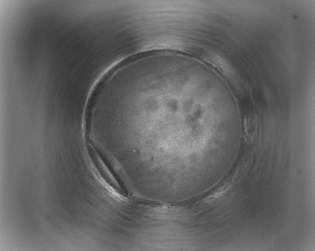 X0000068750780200605051539