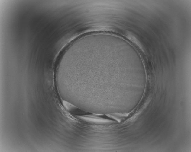 X0000068750781200605051539