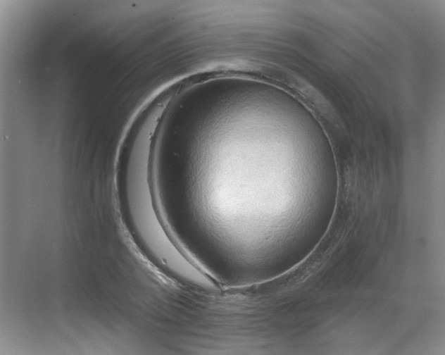 X0000068750784200605051539