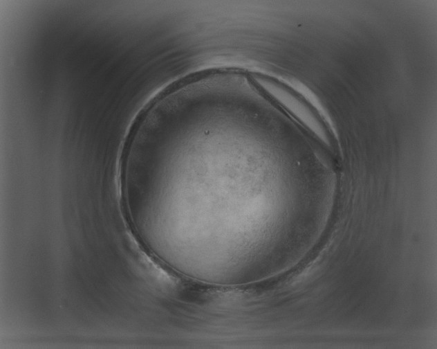 X0000068750791200605051539