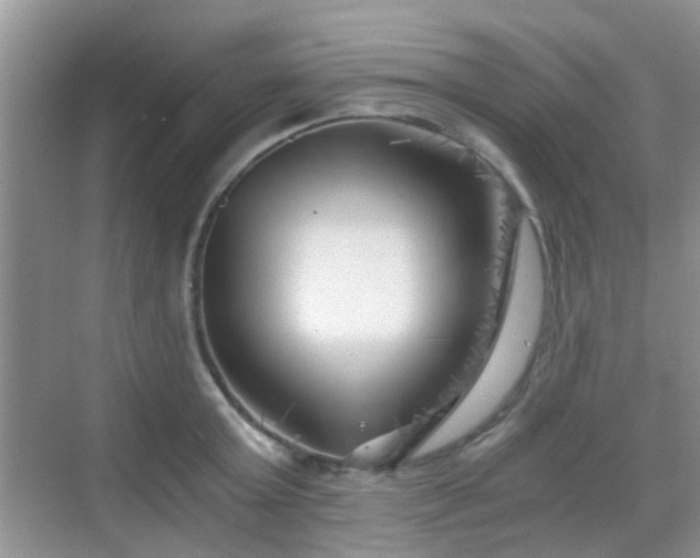X0000068750803200605051538