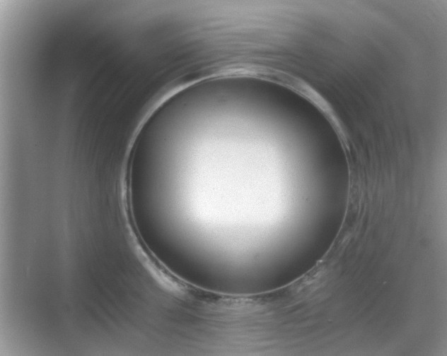 X0000068750811200605051538