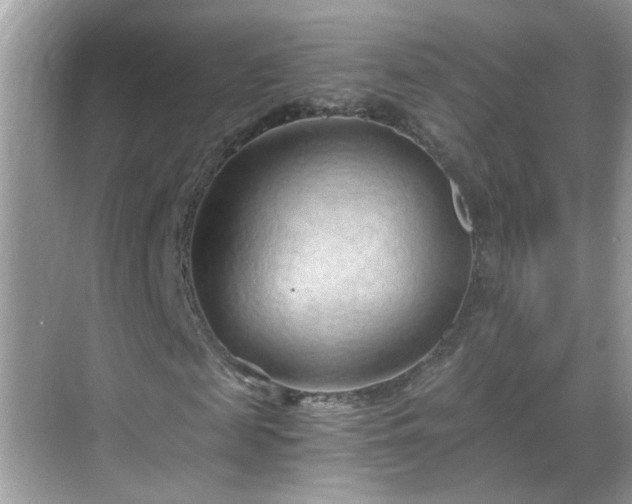 X0000068750817200605051537