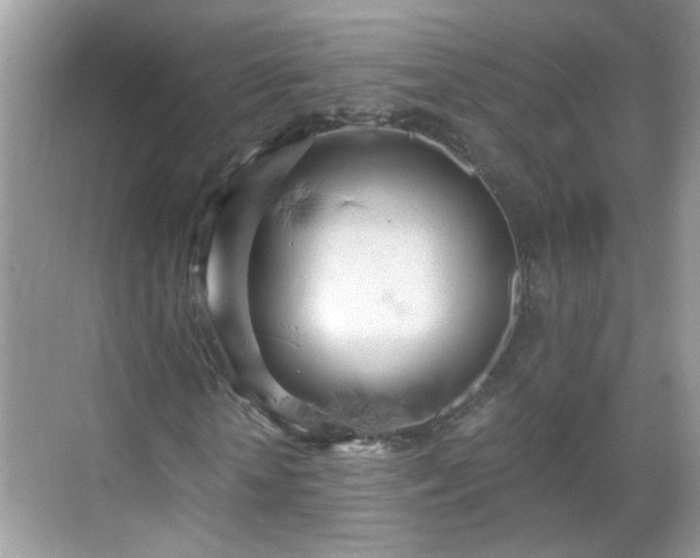 X0000068750818200605051537