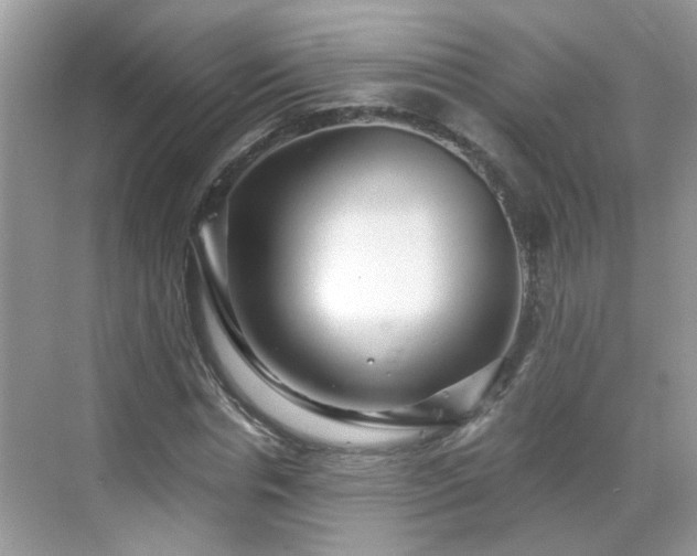 X0000068750826200605051537