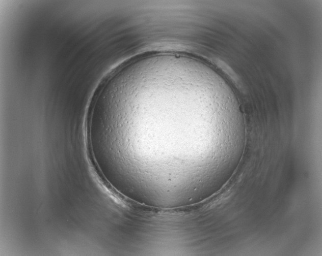 X0000068750840200605051538