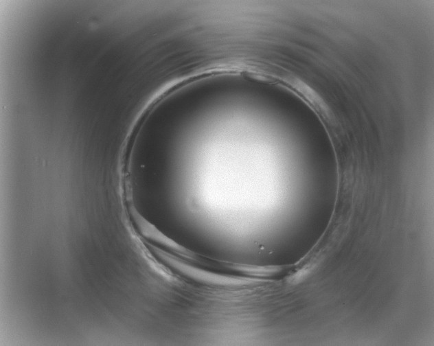 X0000068750854200605051538