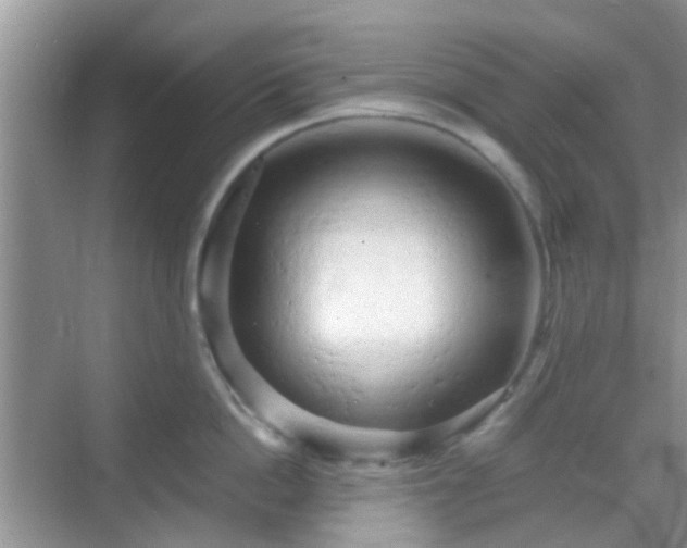 X0000068750862200605051538