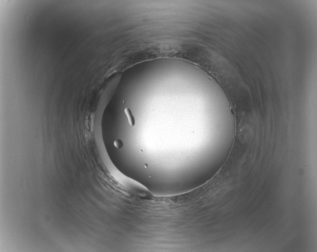 X0000068750866200605051537