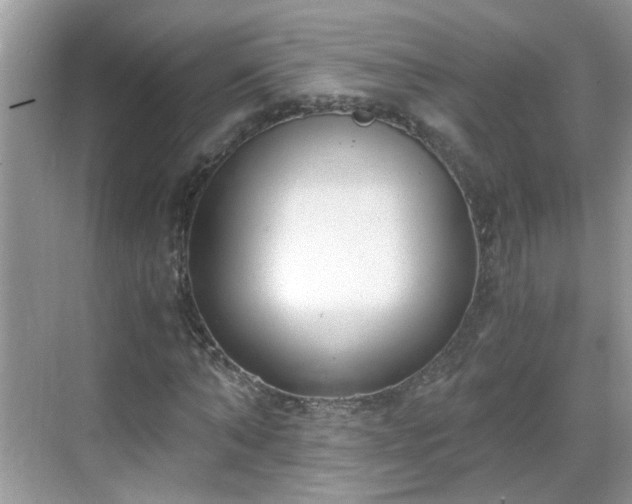 X0000068750870200605051537