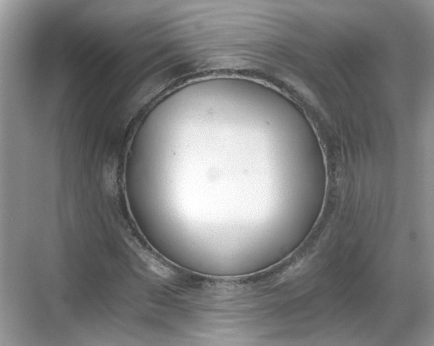 X0000068750873200605051537