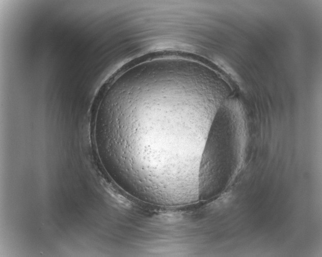 X0000068750877200605051537